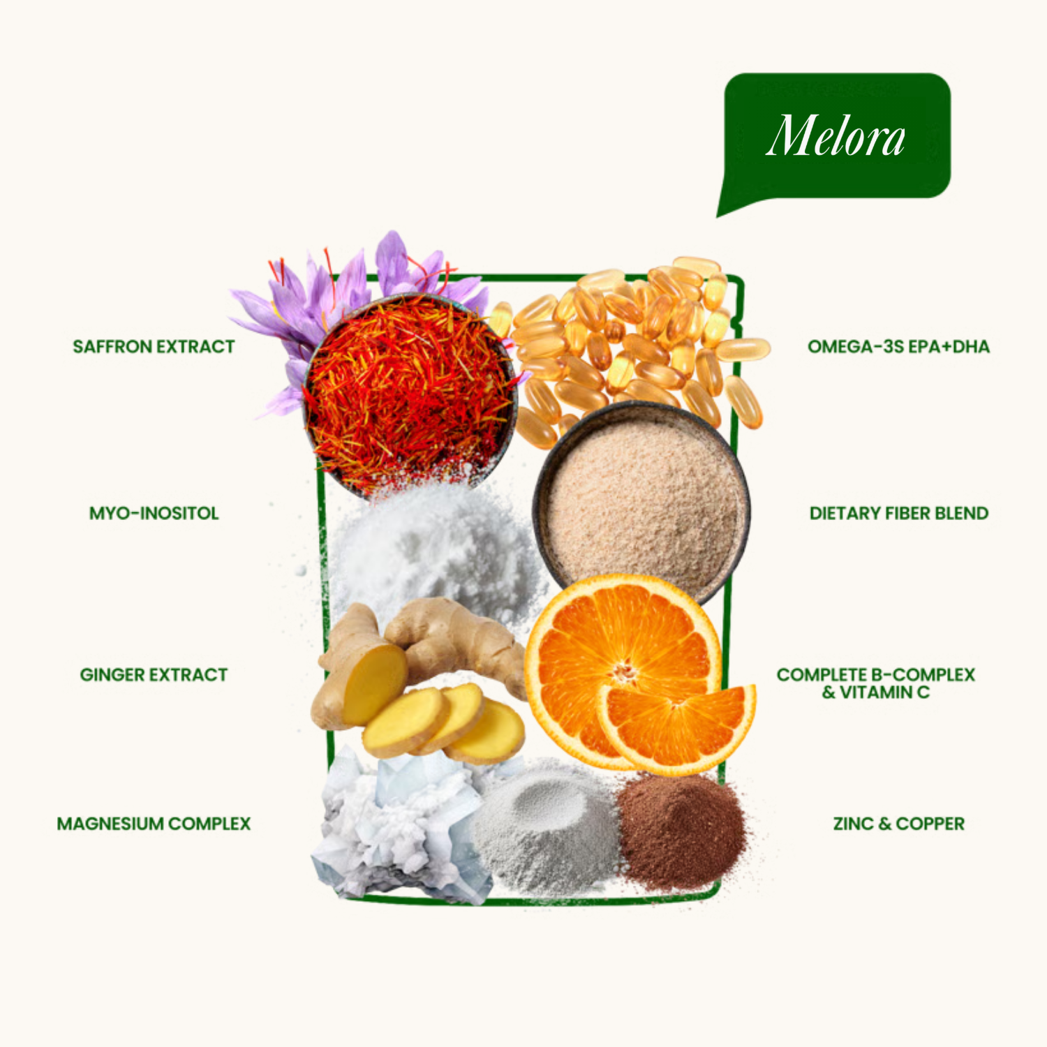 Melora Recovery Foundation